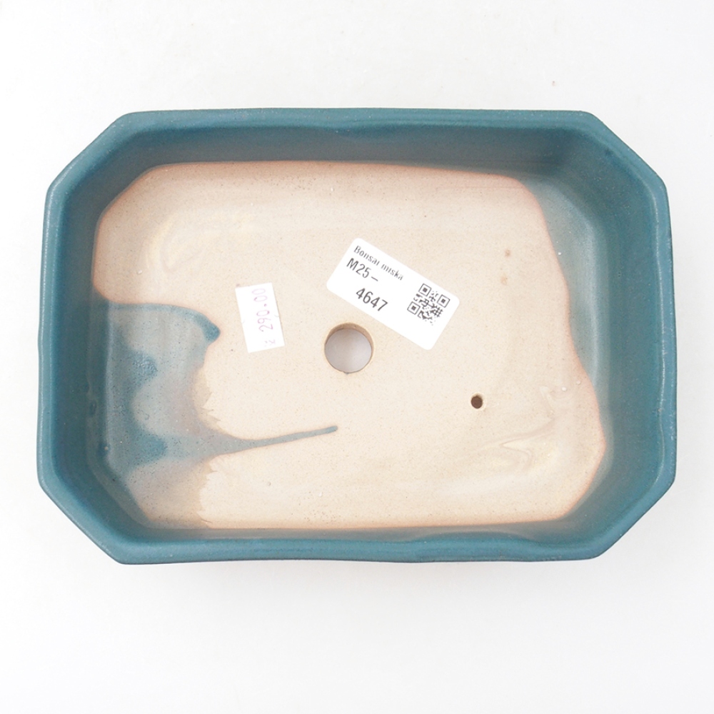 Ciotola bonsai in ceramica 19 x 13,5 x 4 cm, colore blu