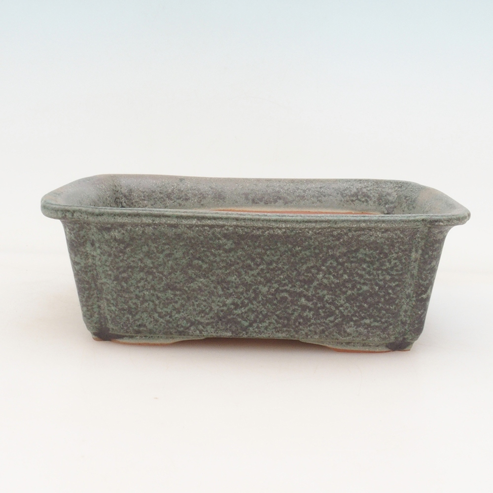 Ciotola per bonsai H50 - 17 x 12,5 x 5,5 cm.