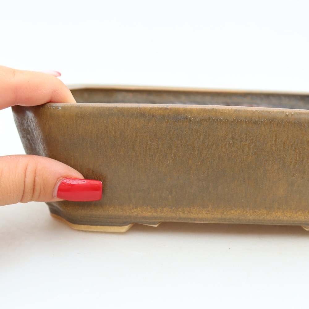 Vaso da bonsai in ceramica 21,5 x 18 x 6 cm, colore marrone