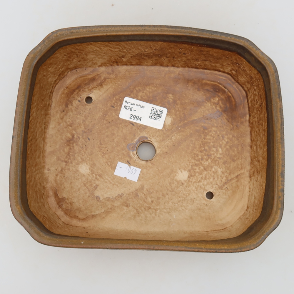 Vaso da bonsai in ceramica 21,5 x 18 x 6 cm, colore marrone