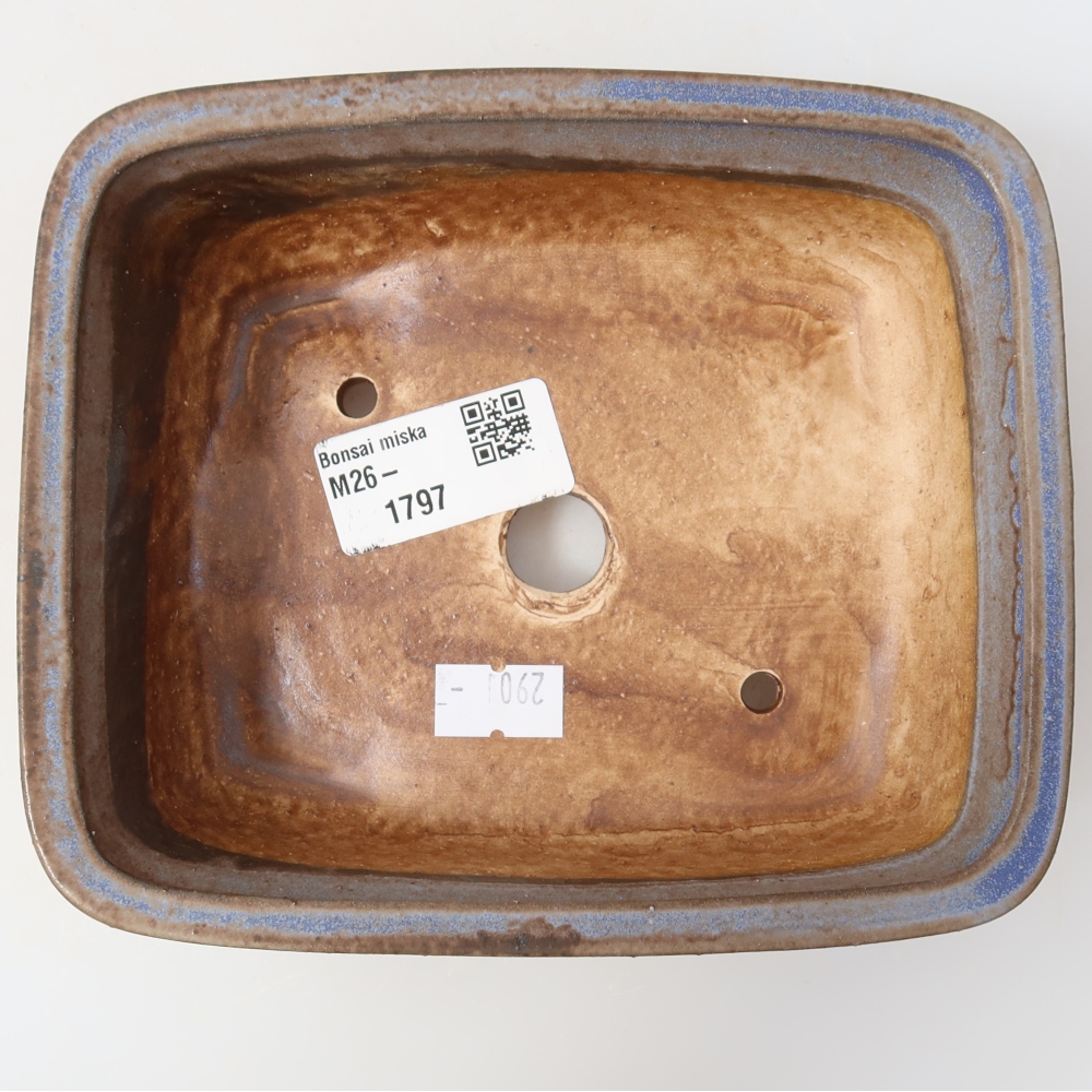 Vaso da bonsai in ceramica 15 x 13 x 4,5 cm, colore blu