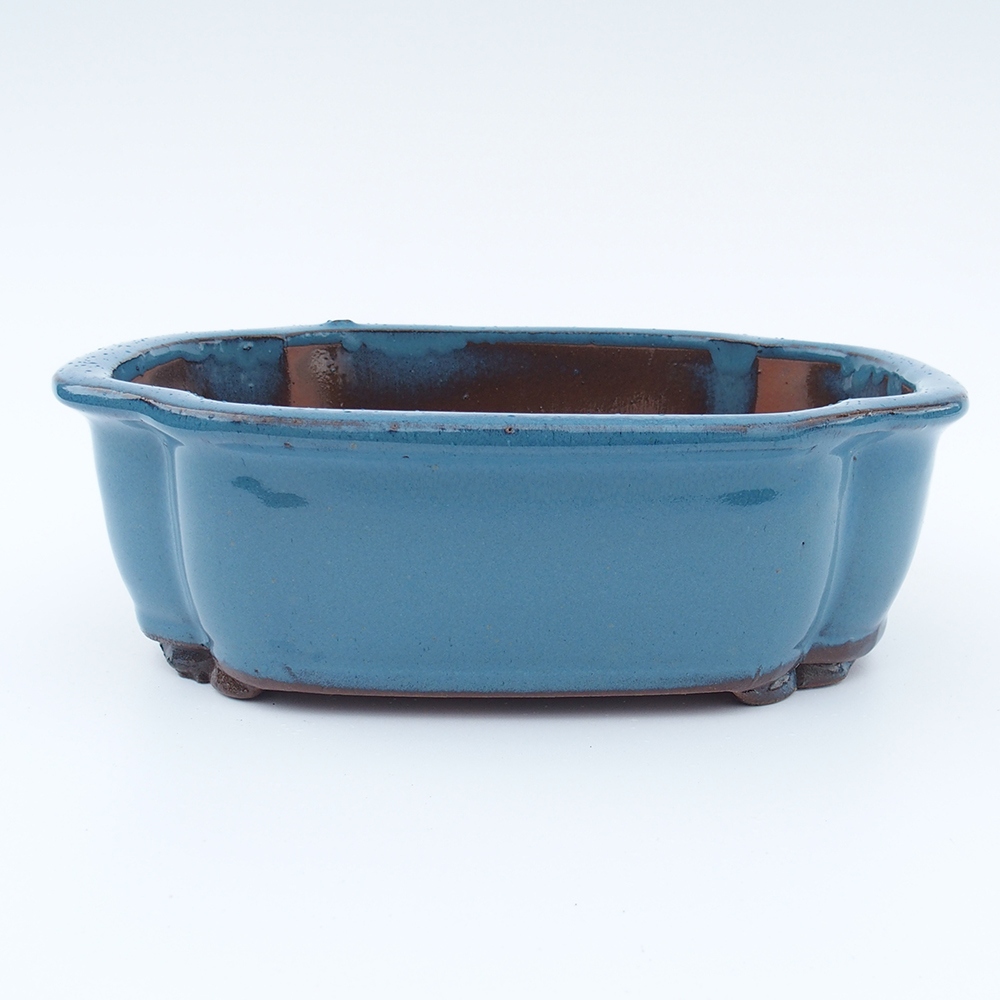 Ciotola 26 x 20 x 8,5 cm blu