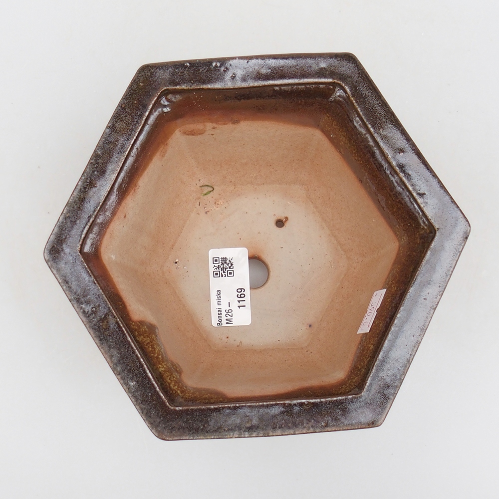 Ciotola bonsai in ceramica 18 x 16 x 9 cm, colore marrone-verde