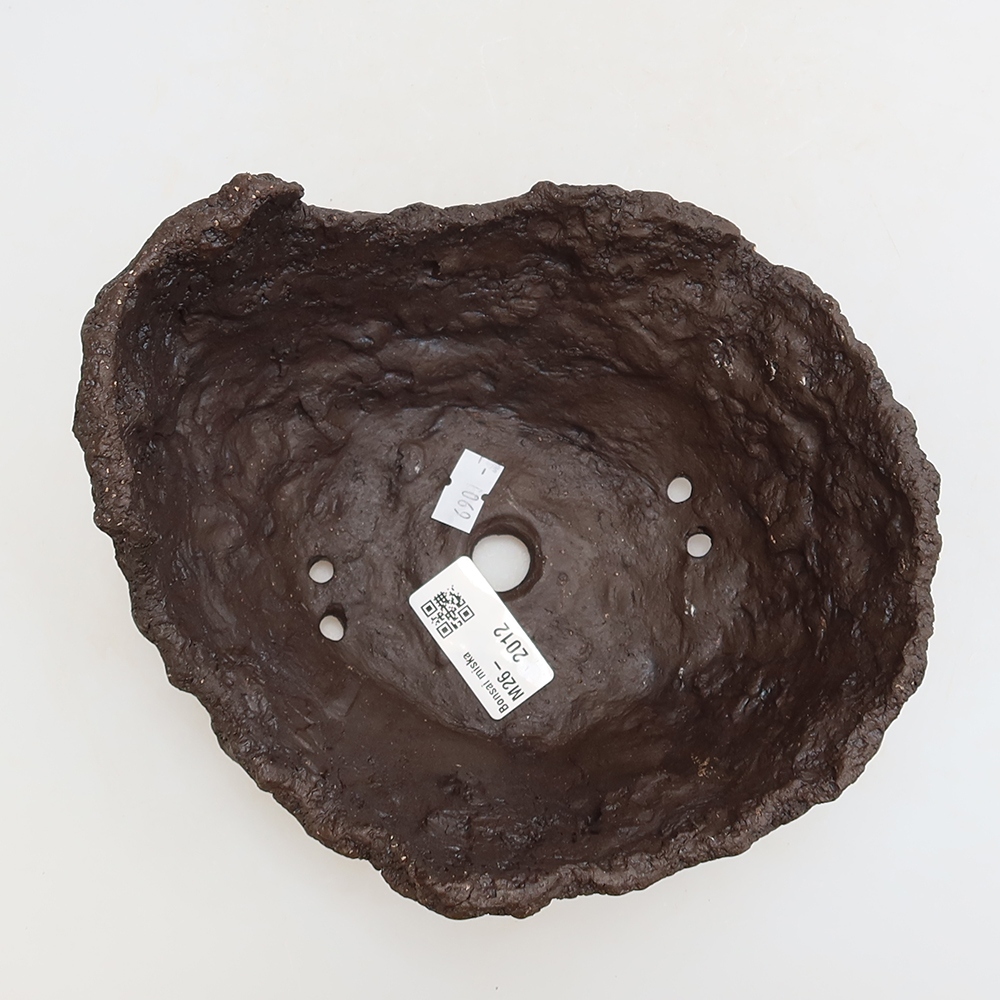 Conchiglia in ceramica 18 x 16 x 13 cm, colore marrone