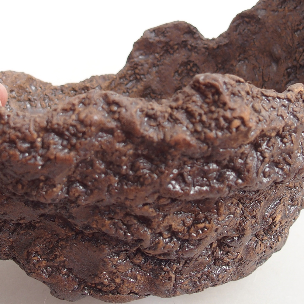 Conchiglia in ceramica 14 x 12 x 13 cm , colore marrone