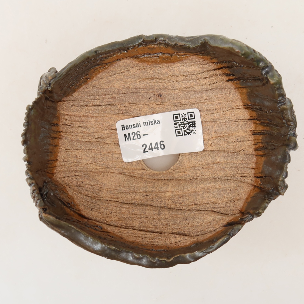 Guscio in ceramica  10 x 9,5 x 7 cm, colore verde-marrone
