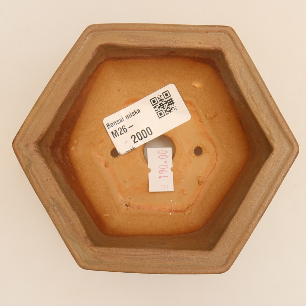 Vaso da bonsai in ceramica 12 x 10,5 x 4 cm, colore grigio