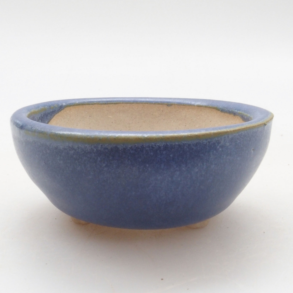 Mini bonsai 6 x 6 x 2,5 cm, colore blu