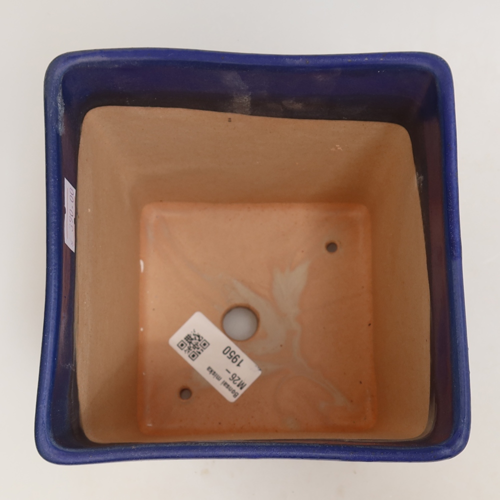 Vaso da bonsai in ceramica 13 x 13 x 13,5 cm, colore blu