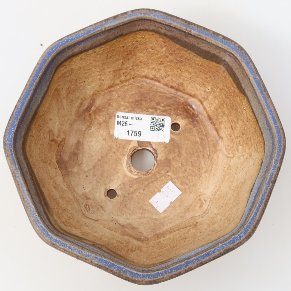 Vaso da bonsai in ceramica 17 x 16 x 6,5 cm, colore blu