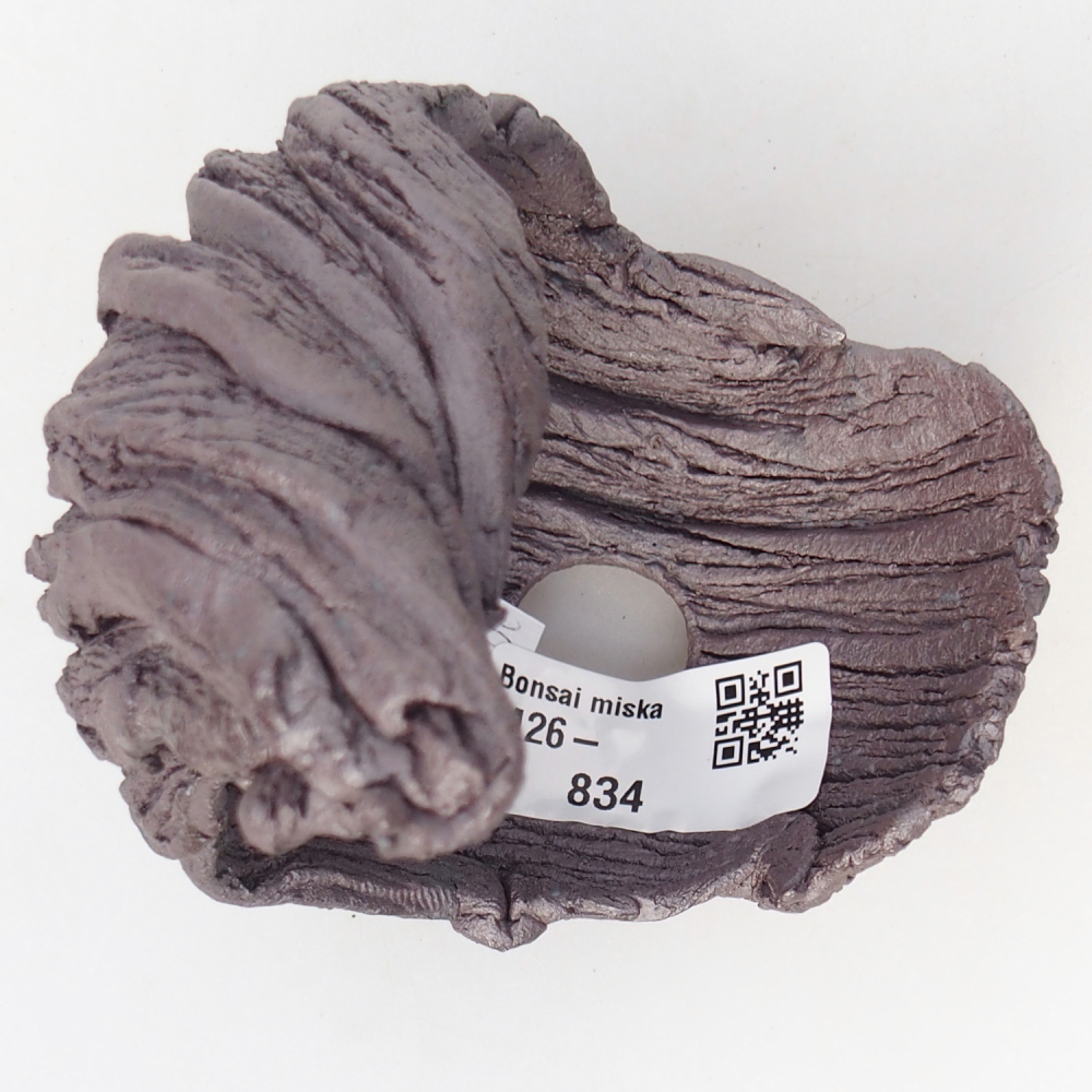 Conchiglia in ceramica 9,5 x 8 x 11,5 cm, colore metallizzato