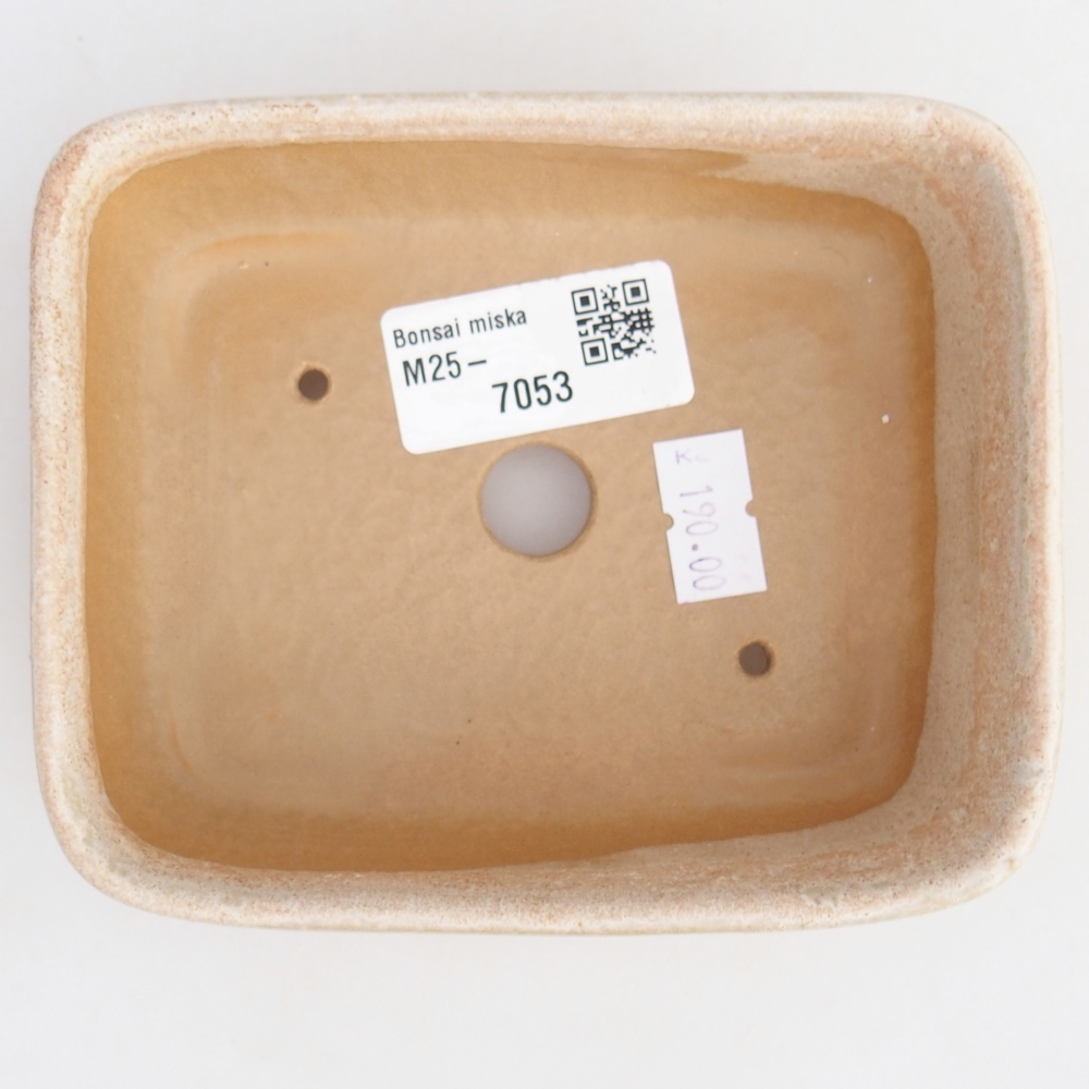 Ciotola bonsai in ceramica 26 x 26 x 8 cm, colore rosso