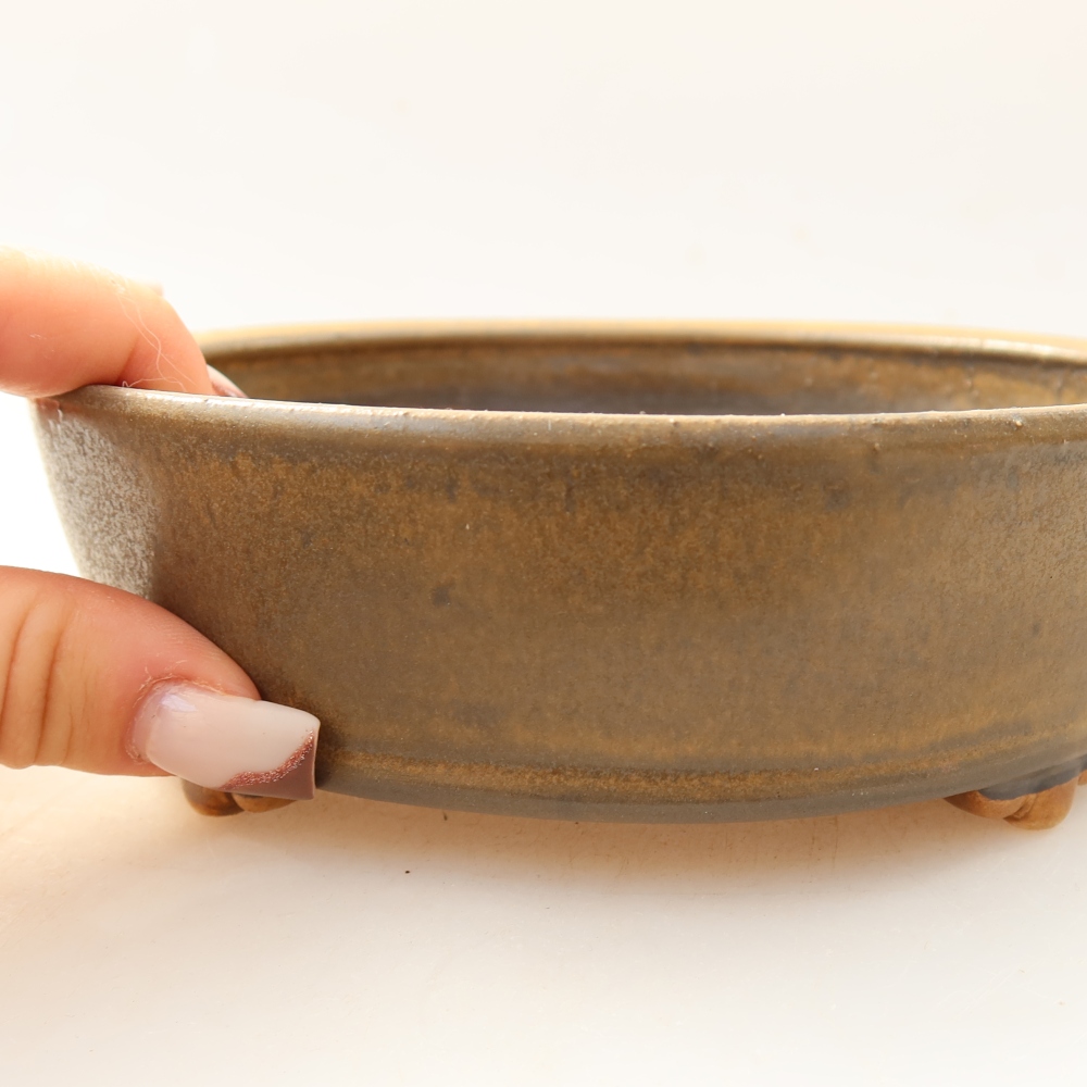 Ciotola per bonsai in ceramica 15,5 x 15,5 x 5 cm, marrone