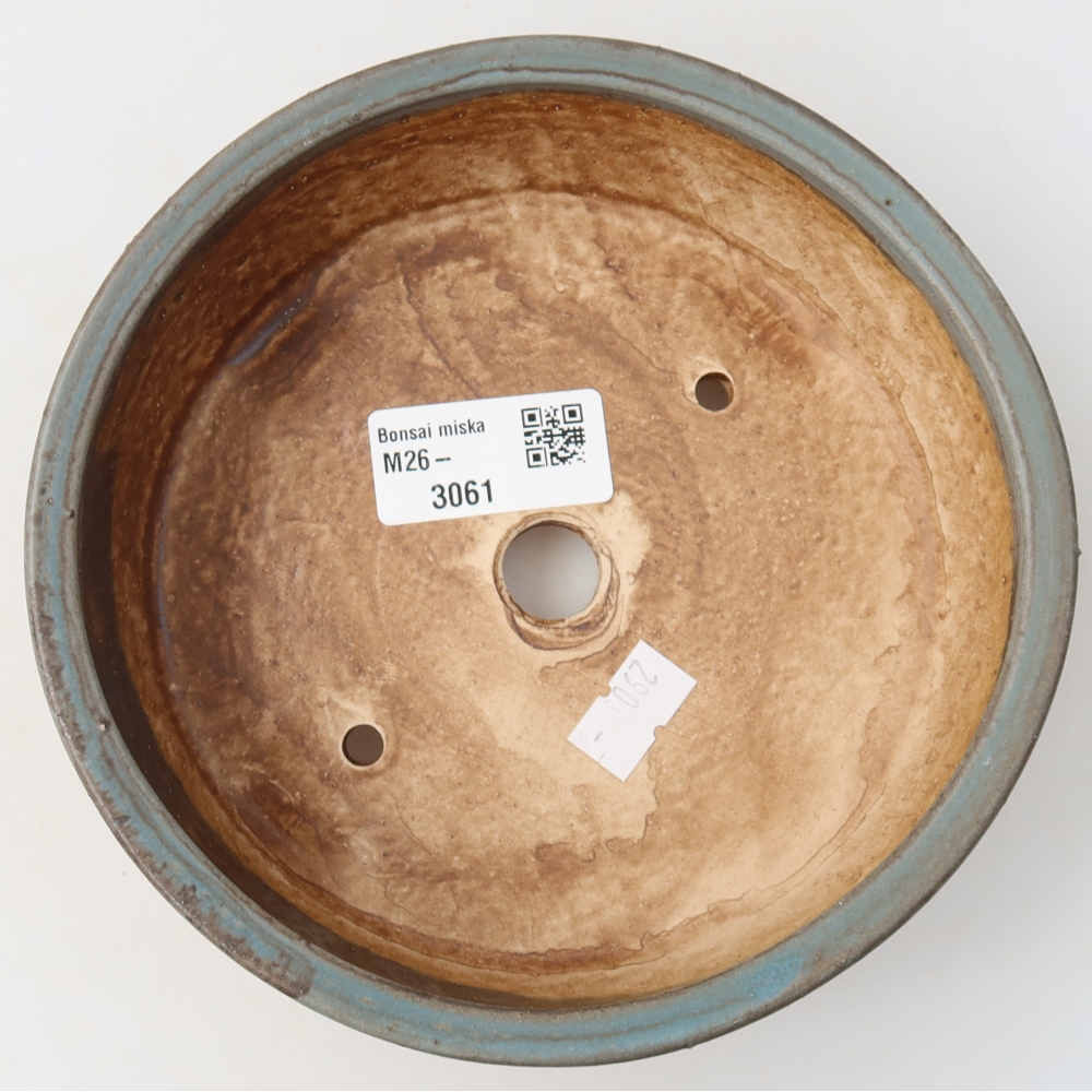 Vaso da bonsai in ceramica 15,5 x 15,5 x 5 cm, colore blu