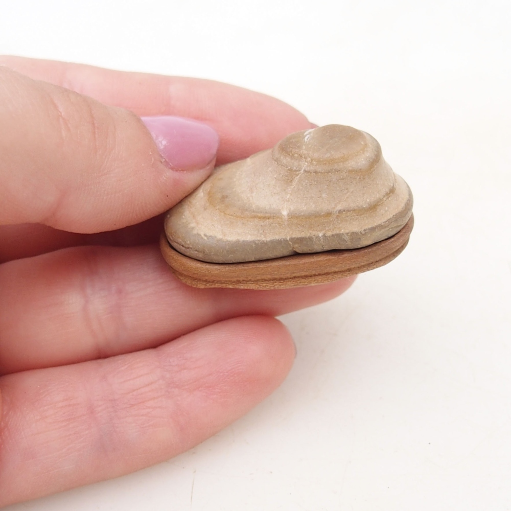 Suiseki - Pietra con DAI (base in legno)