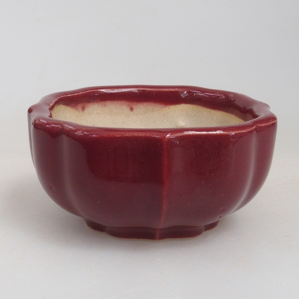 Mini bonsai 5,5 x 5,5 x 2,5 cm, bordeaux