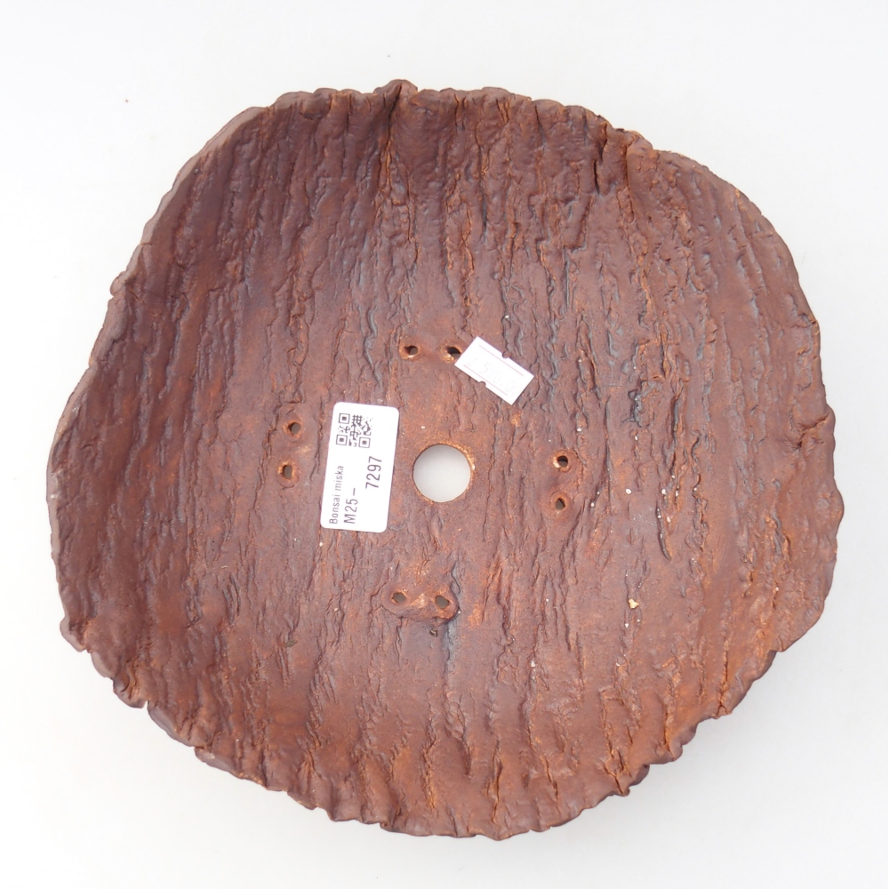 Conchiglia in ceramica 29 x 21 x 7 cm , colore marrone