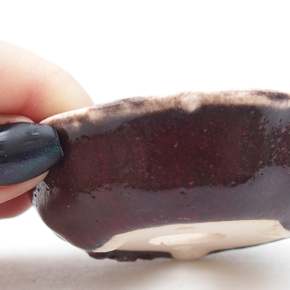 Mini bonsai 7,5 x 7,5 x 2 cm, marrone