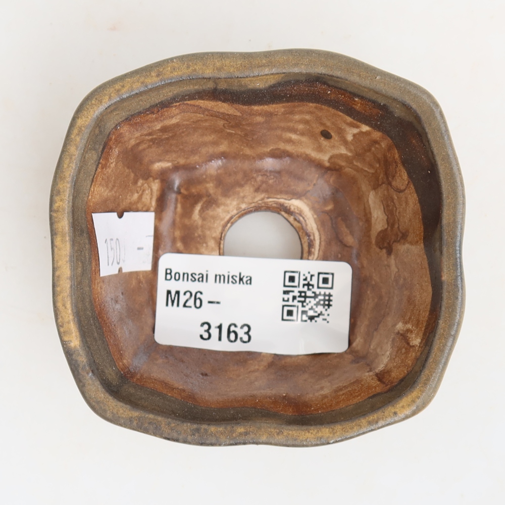 Ciotola per bonsai in ceramica 7 x 7 x 3,5 cm, marrone