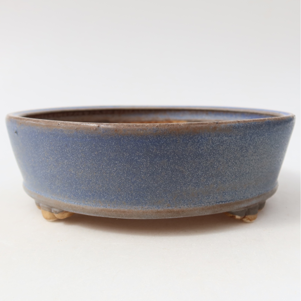 Vaso da bonsai in ceramica 15,5 x 15,5 x 5 cm, colore blu