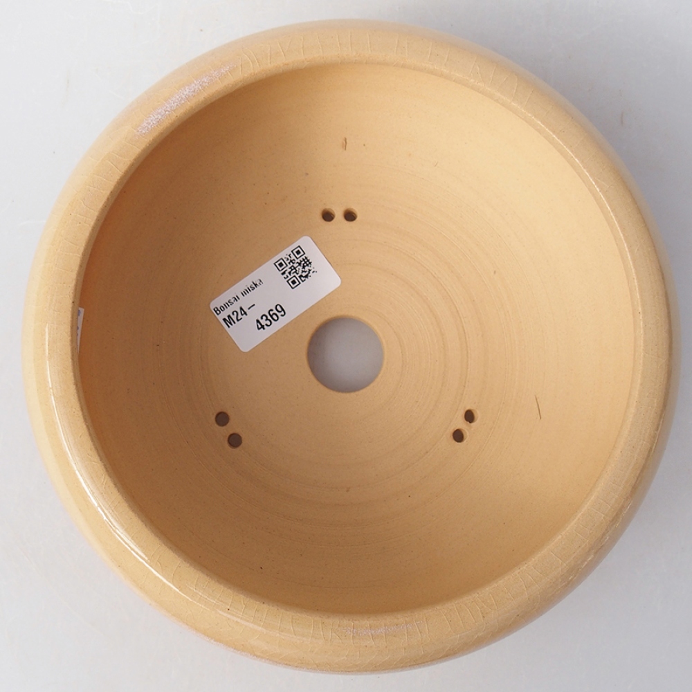 Ciotola per bonsai in ceramica 18 x 18 x 6 cm, colore beige