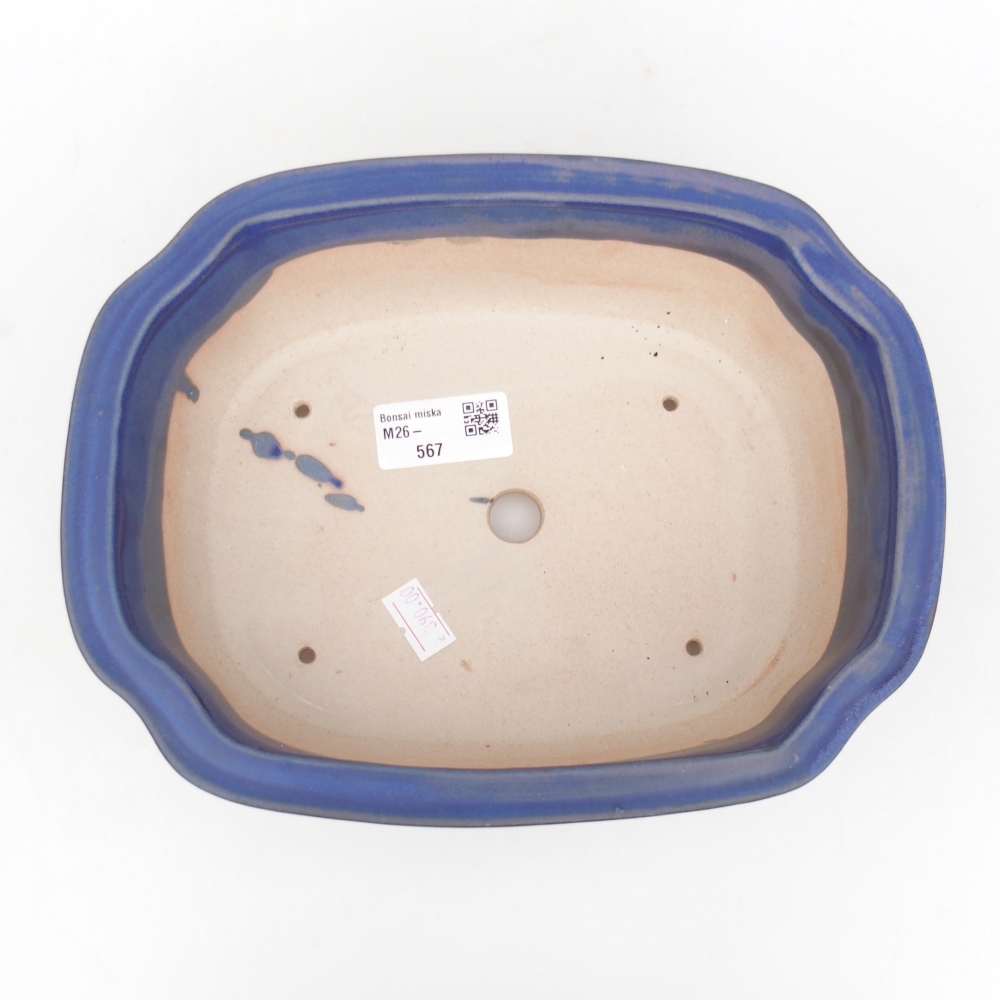 Ciotola bonsai in ceramica 22 x 18 x 7,5 cm, colore blu