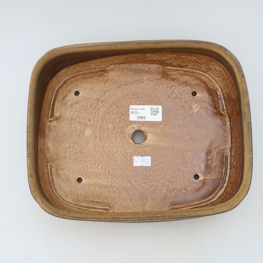 Vaso da bonsai in ceramica 24,5 x 20,5 x 6,5 cm, colore marrone