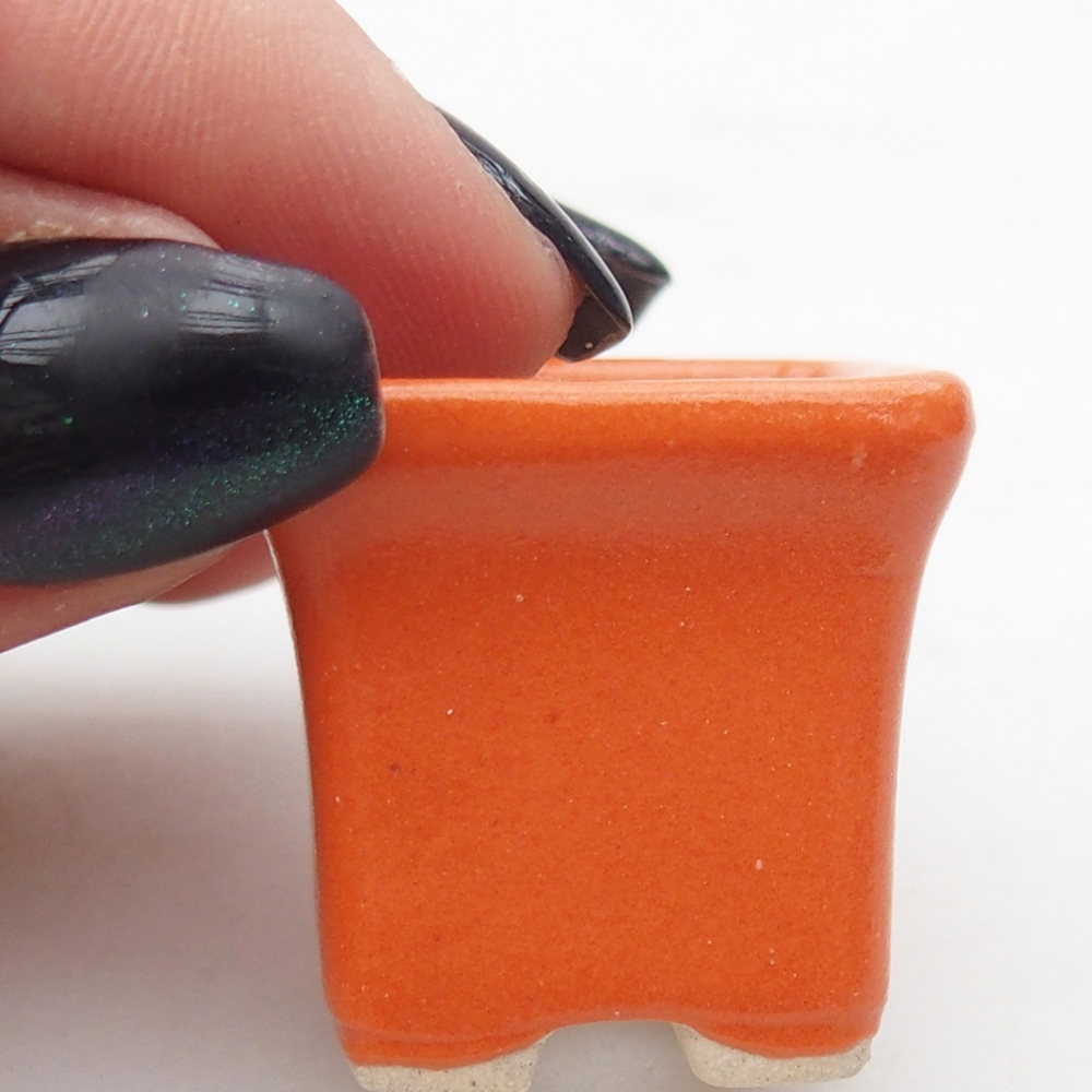 Mini bonsai 2,5 x 2,5 x 2,5 cm, arancione