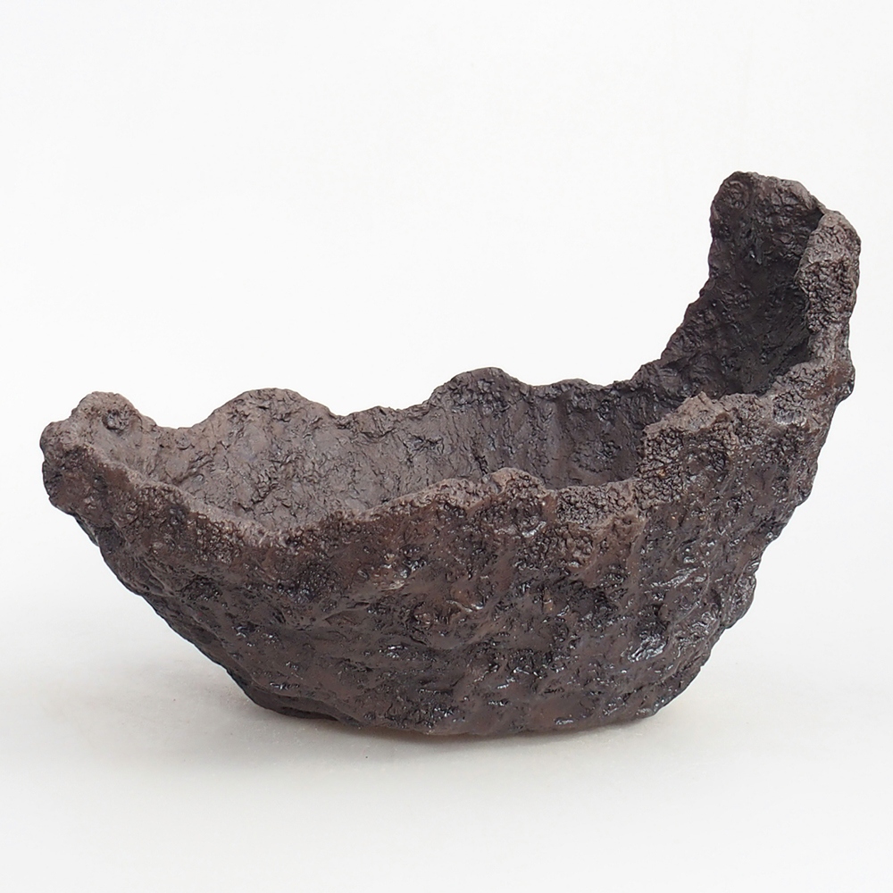 Conchiglia in ceramica 23 x 20 x 18 cm , colore marrone