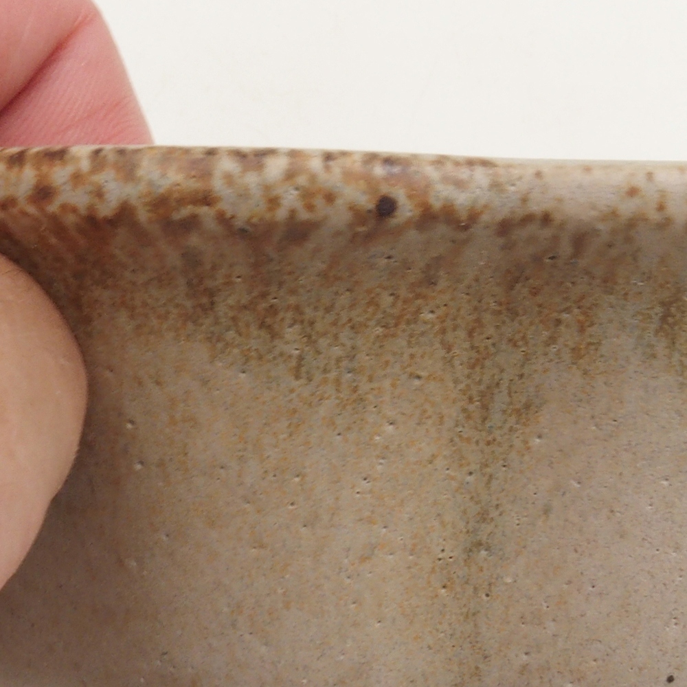 Ciotola per bonsai H06 - 14,5 x 14,5 x 5 cm - beige