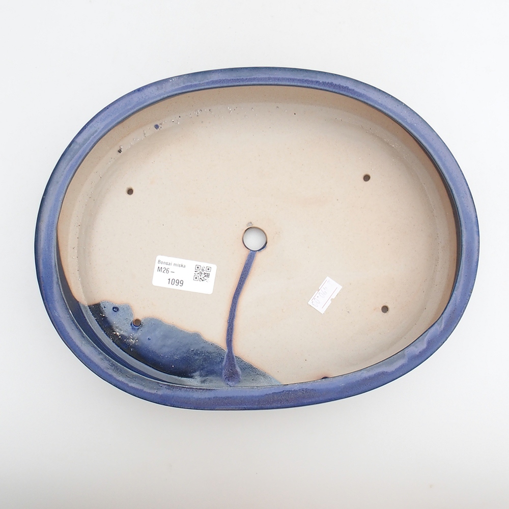 Ciotola bonsai in ceramica 26 x 20 x 5 cm, colore blu