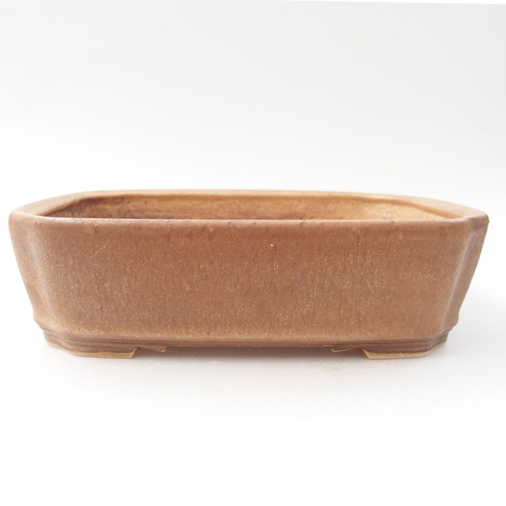 Ciotola bonsai in ceramica 21 x 18 x 6 cm, rosa