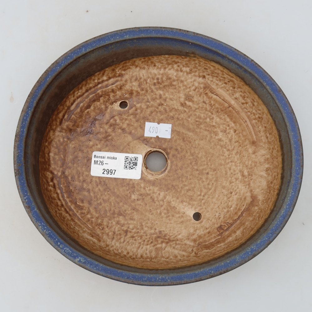 Vaso in ceramica per bonsai 21 x 19,5 x 5 cm, colore blu