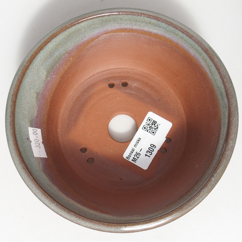 Ciotola bonsai in ceramica 15 x 15 x 5 cm, verde
