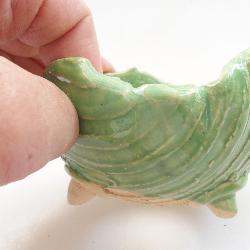 Conchiglia in ceramica 7 x 7 x 5,5 cm , colore verde