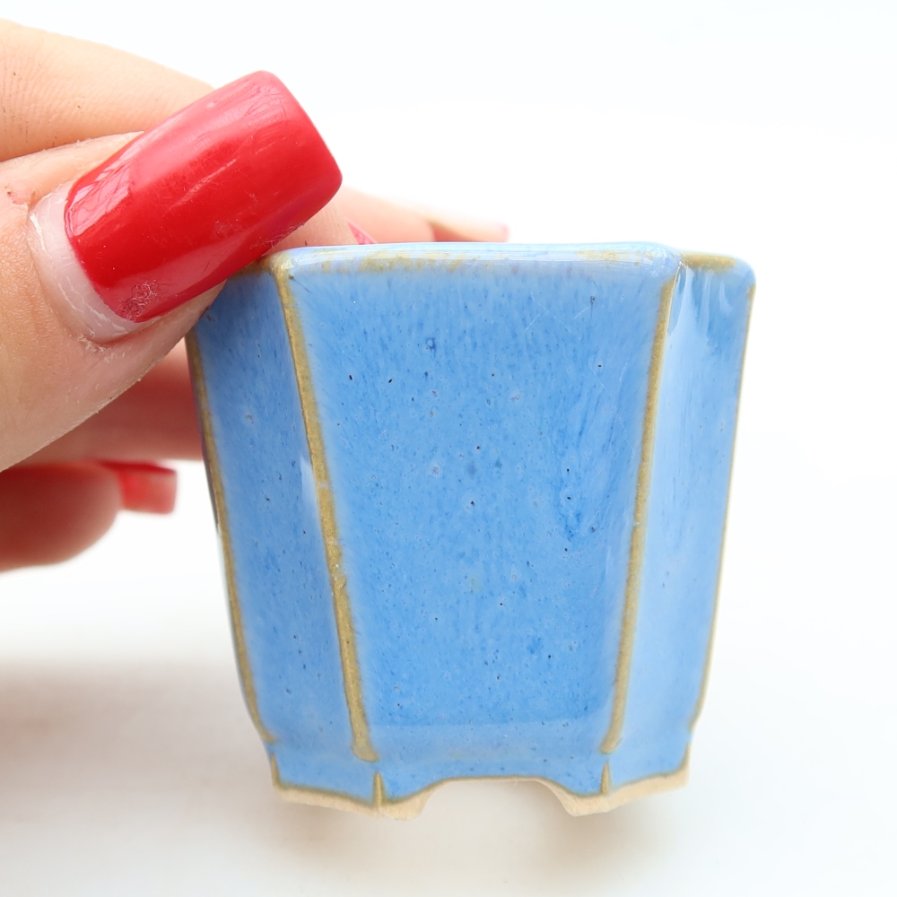 Ciotola per bonsai in ceramica 4 x 4 x 4 cm, colore blu