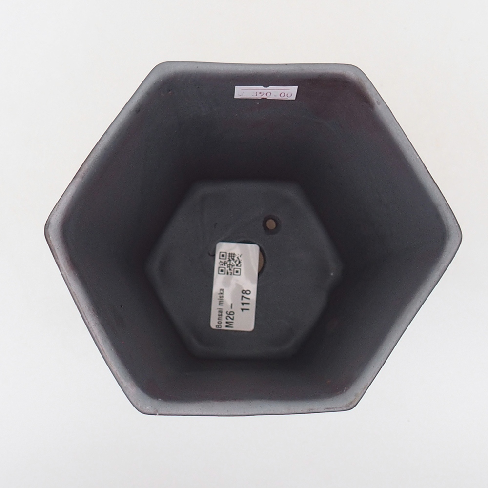 Ciotola bonsai in ceramica 13 x 11,5 x 17 cm, colore metallo