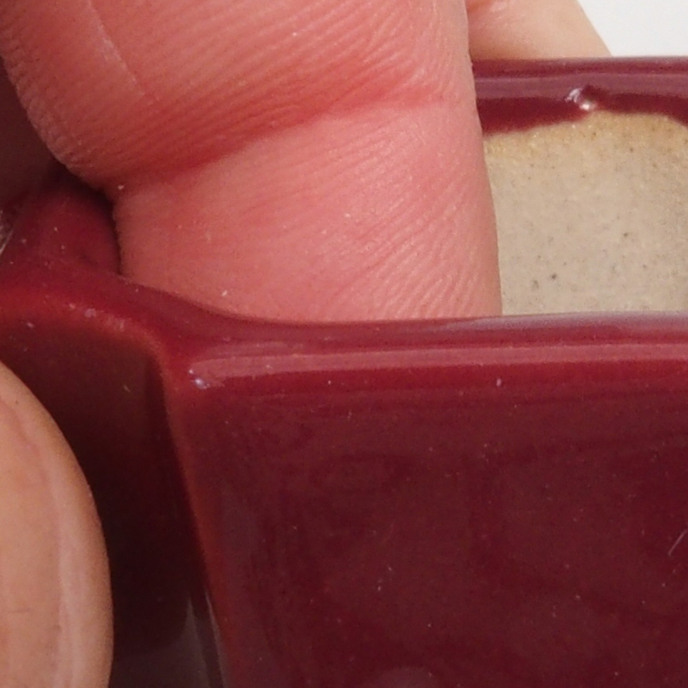 Mini bonsai 4 x 4 x 4 cm, bordeaux