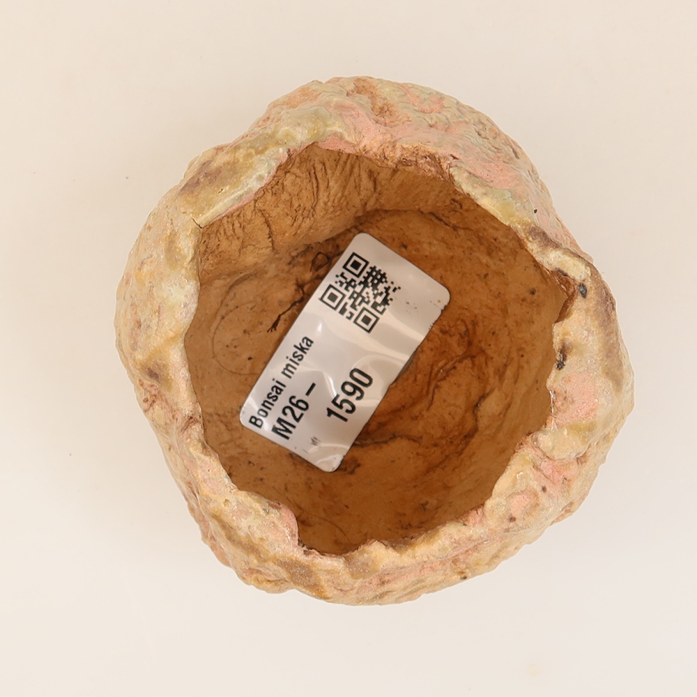 Conchiglia in ceramica 5 x 5 x 6 cm , colore rosa