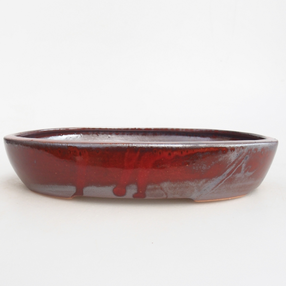Ciotola per bonsai in ceramica 22 x 17 x 4 cm, colore rosso