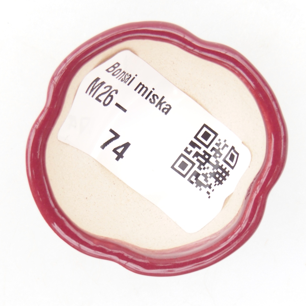 Ciotola per mini bonsai 4 x 4 x 2 cm, bordeaux