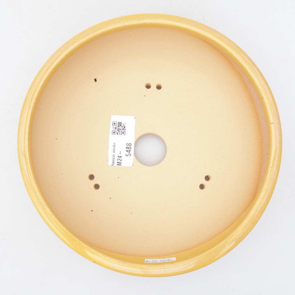 Ciotola per bonsai in ceramica 18,5 x 18,5 x 6 cm, giallo