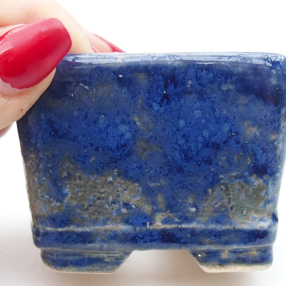 Ciotola per bonsai in ceramica 6 x 6 x 4,5 cm, colore blu