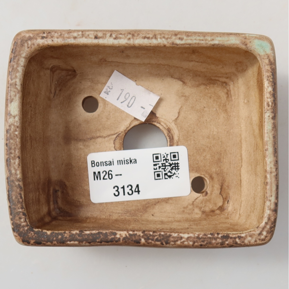 Vaso da bonsai in ceramica 9,5 x 7,5 x 3,5 cm, colore verde