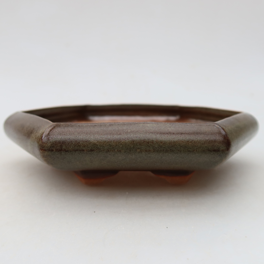 Ciotola per bonsai in ceramica 17 x 15 x 4 cm, marrone