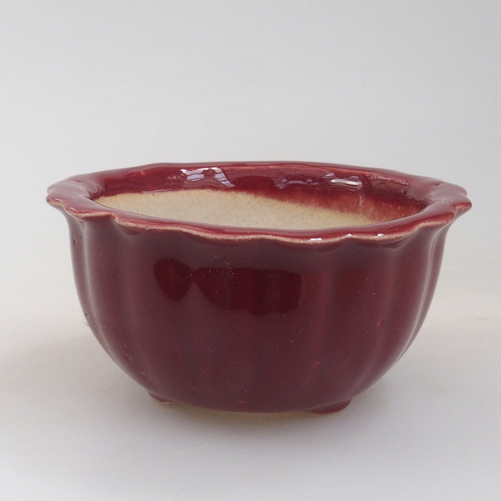Ciotola per mini bonsai 6,5 x 6,5 x 3,5 cm, bordeaux