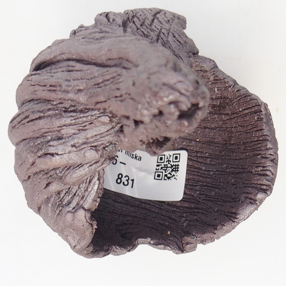 Conchiglia in ceramica 8 x 9 x 14,5 cm, colore metallizzato