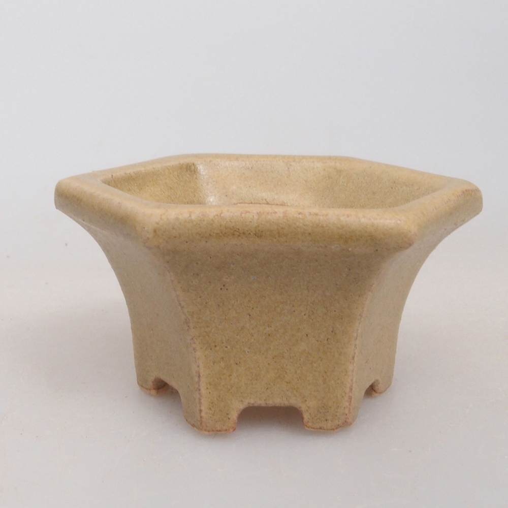 Mini bonsai 4,5 x 4,5 x 2,5 cm, marrone