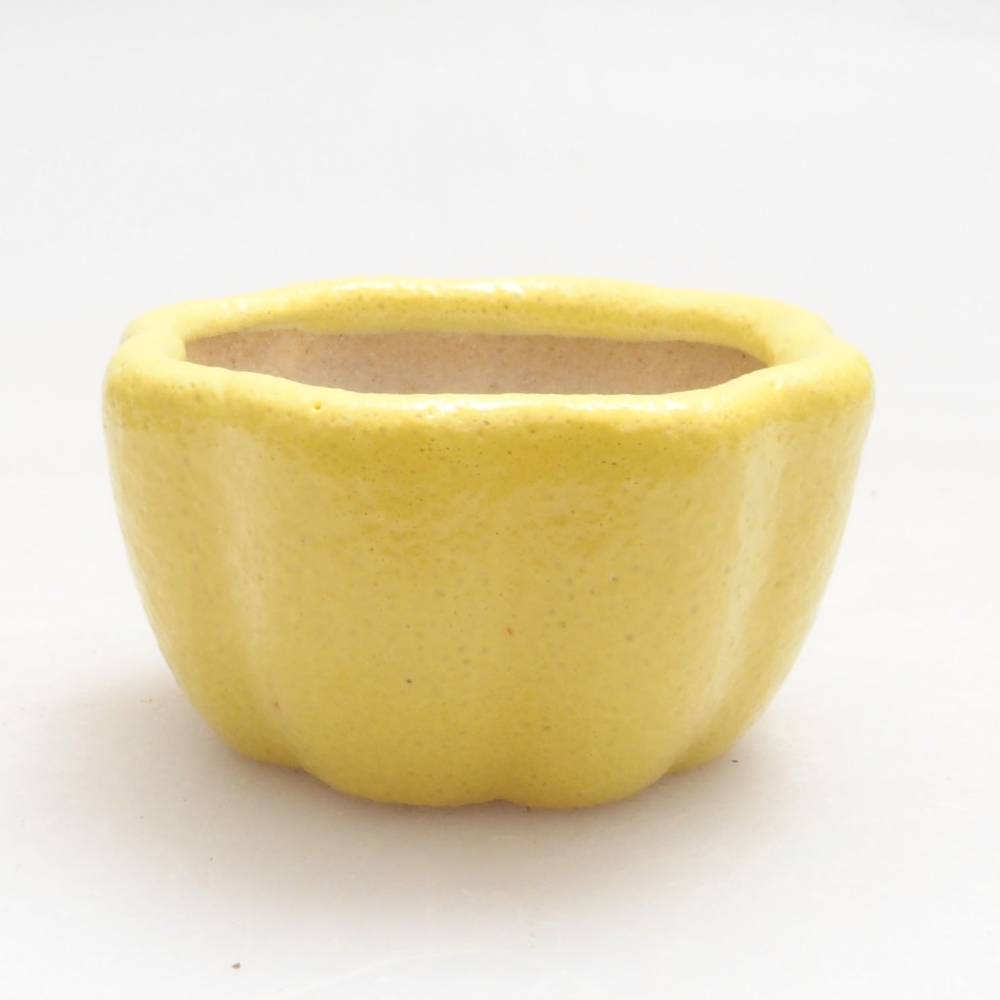 Ciotola per bonsai in ceramica 3,5 x 3,5 x 2 cm, giallo
