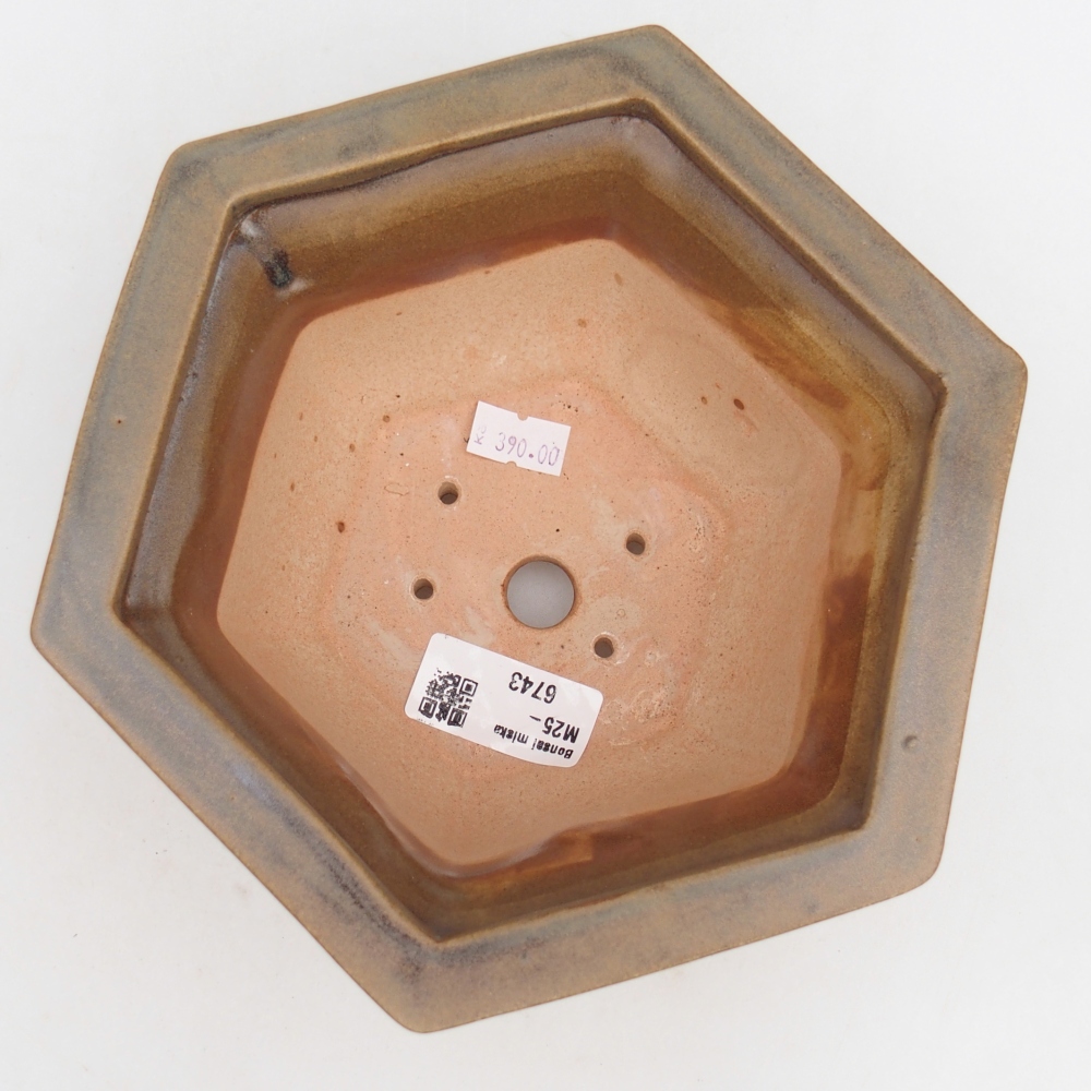 Ciotola per bonsai in ceramica 18,5 x 16,5 x 9 cm, marrone